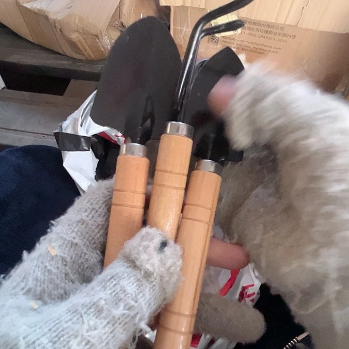 种花铁锹2个挠子一个。