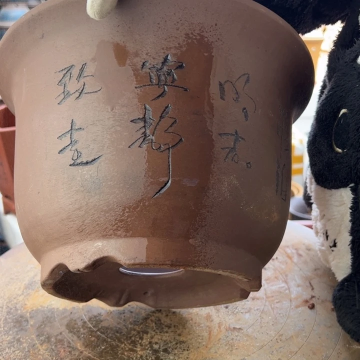 紫砂紫砂平角金钟30