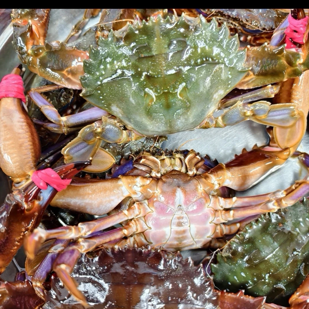 【1大连花盖】4斤顺丰包邮大连海蟹公母混发保鲜不包活