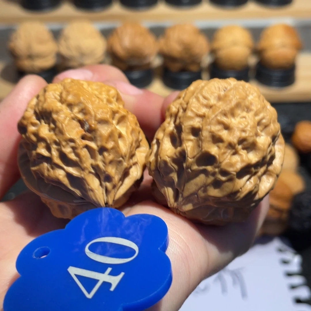 上树古蟾核桃39。
