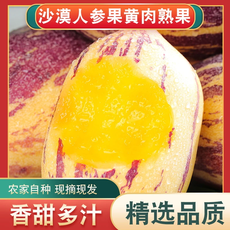 现摘现发宁夏人参果新鲜水果沙漠人参果大果黄心肉低糖