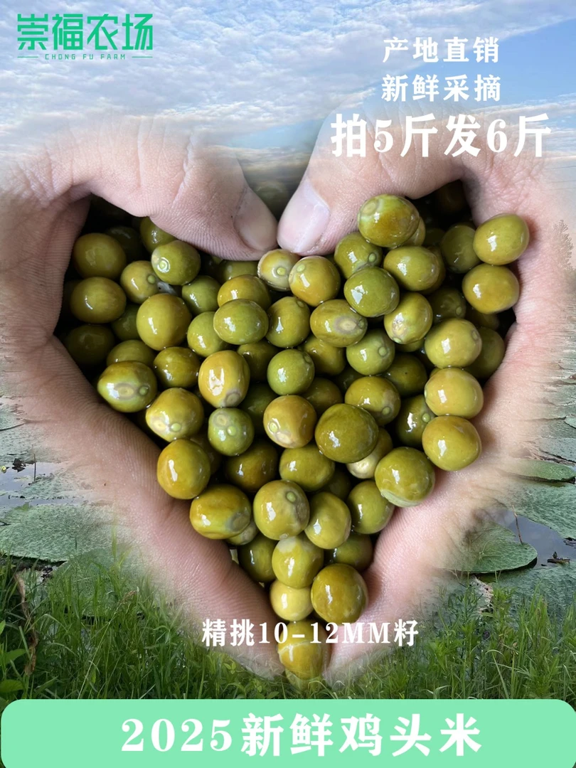【加油吖专属】包邮潢川县2025年新货鸡头果10-12果大果1斤1包