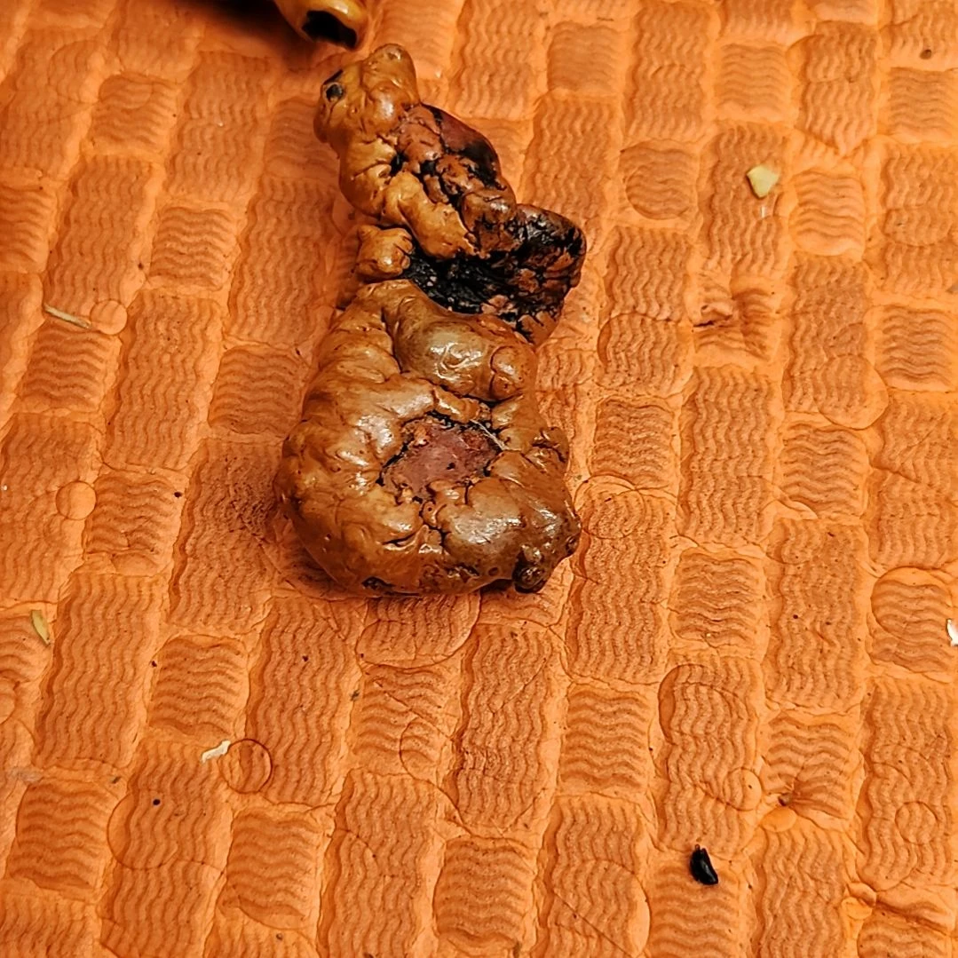 吾***语感谢感谢兄弟感谢感谢