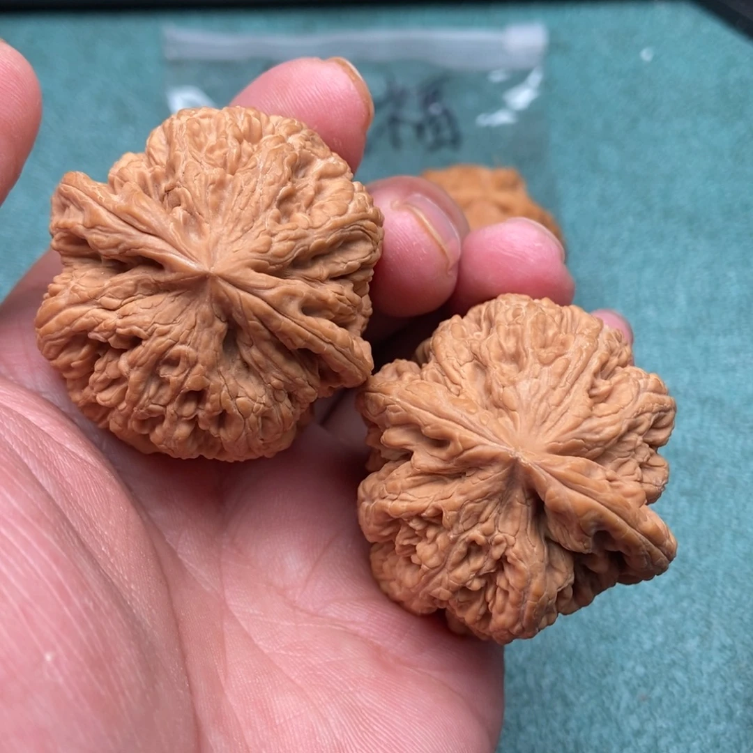 文玩核桃吊坠大粗筋