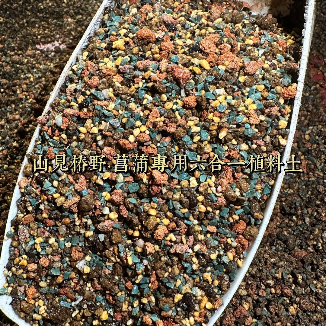 山见椿野自用《菖蒲六合一植料》营养土保水不积水特小颗粒促进生长