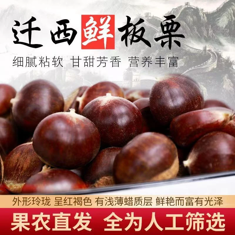 正宗迁西板栗新鲜生栗子大油栗河北燕山板栗京东板栗遵化贡栗批发