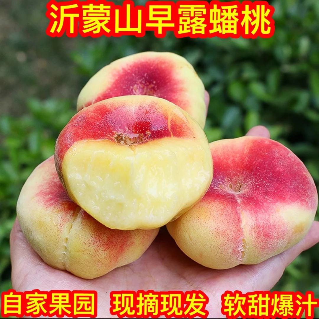 山东蒙阴早露小蟠桃桃子当季新鲜孕妇水果红蟠桃扁桃现摘整1-4斤山东省当季新鲜水果桃子