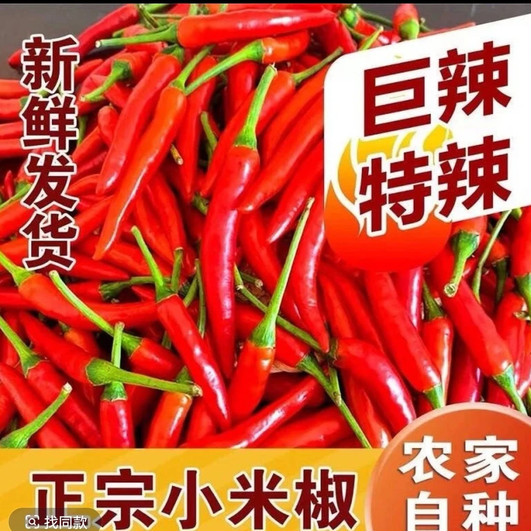 新鲜现摘小米辣特辣红辣椒农家蔬菜