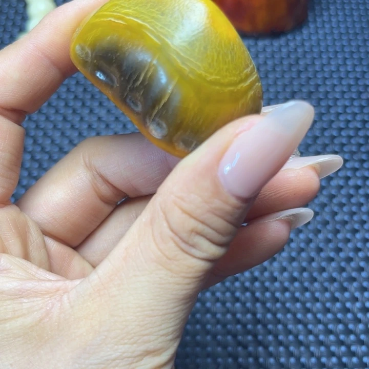 大果紫檀（缅甸花梨）