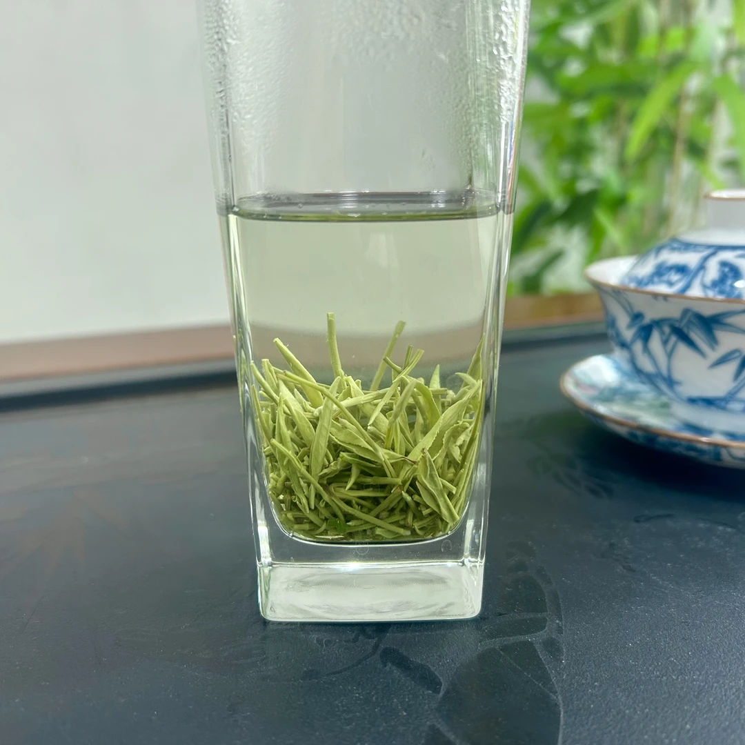 毛尖绿茶栗香耐泡