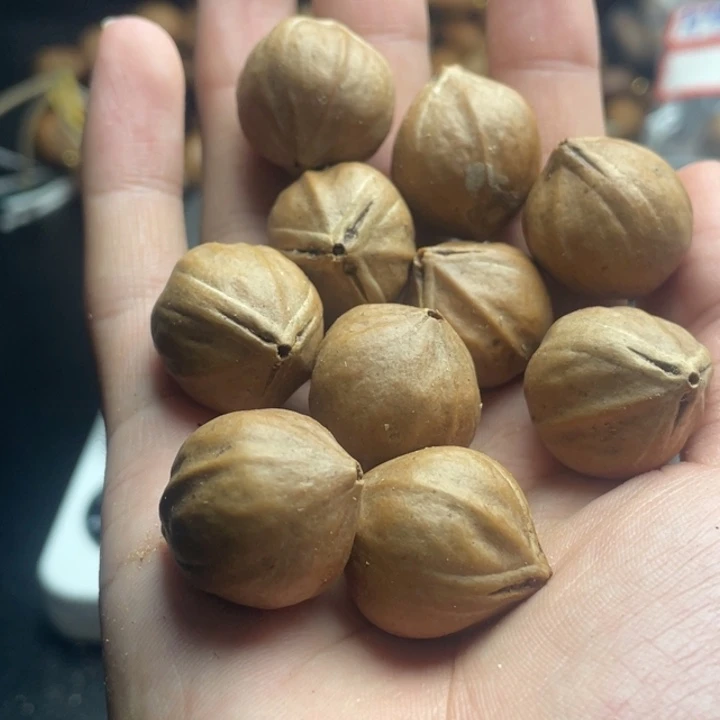 手串/手链橄榄核2.1