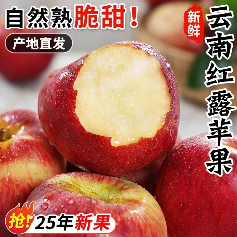 正宗云南昭通红露苹果直发网红丑苹果冰糖心脆甜当季新鲜苹果水果