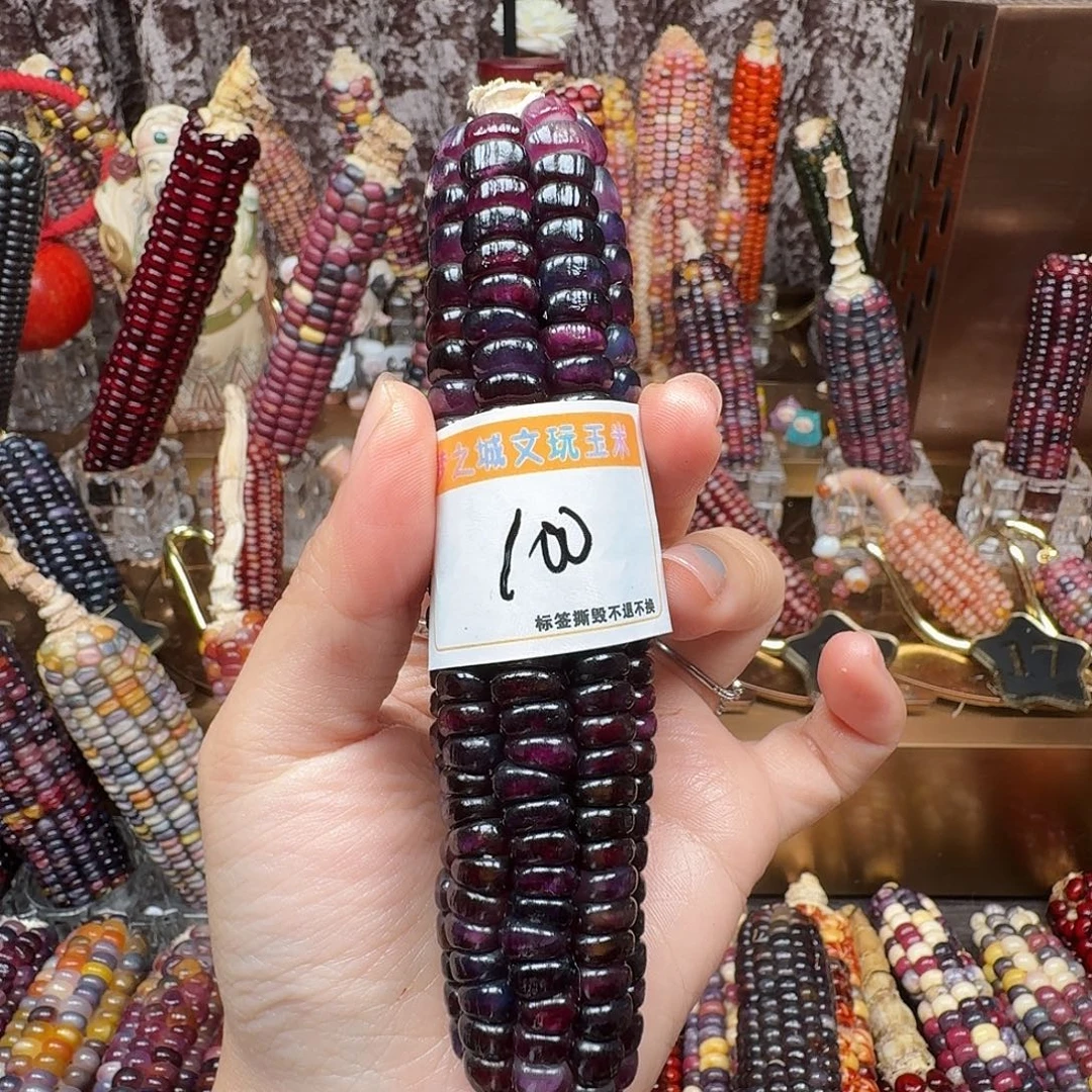 ，***梦之城文玩玉米 梦宝