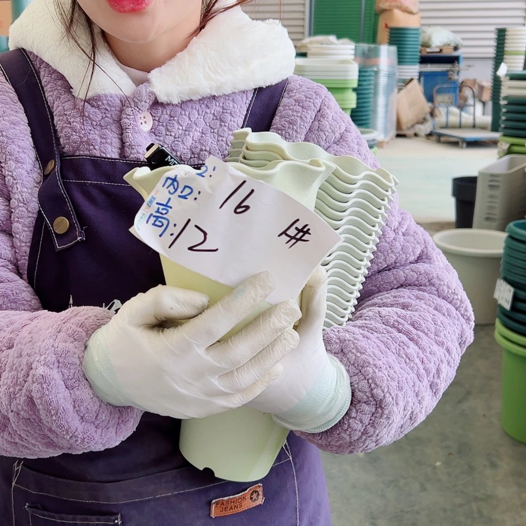 瑕疵荷叶盆1#米白10个无托