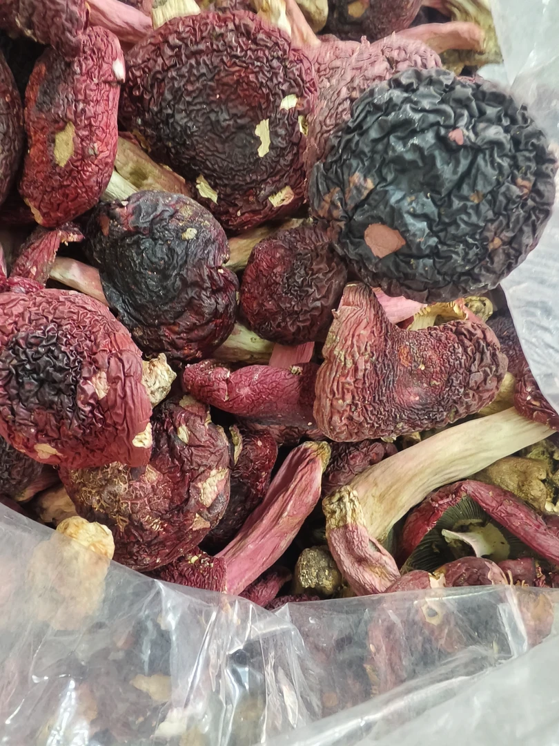 福建红菇红蘑菇干货月子菇营养丰富煲汤美味深山特产500G正宗