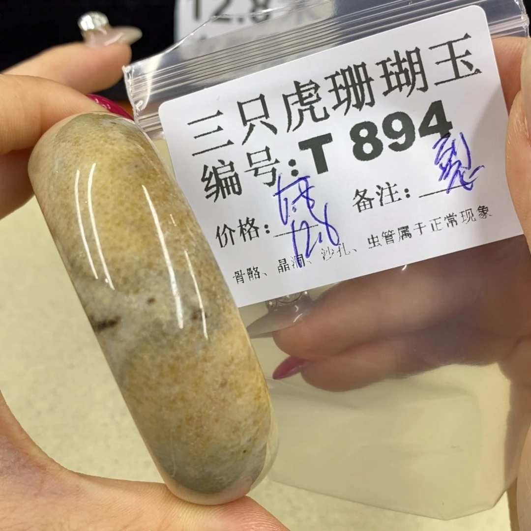 硅化珊瑚（珊瑚玉）1足银镀金镶嵌水*