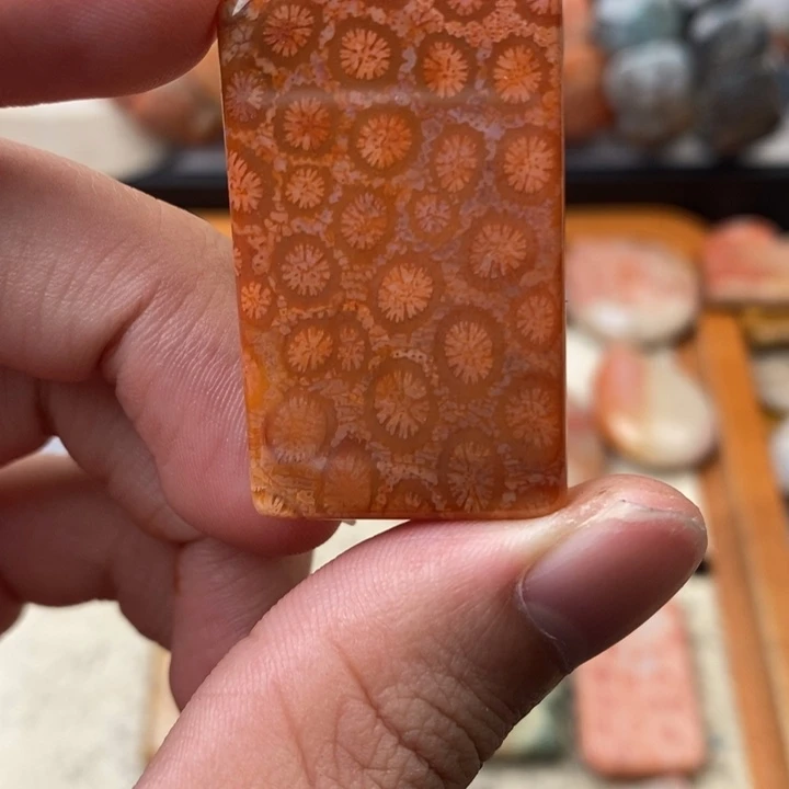 s***浪硅化玉（树化玉）未镶嵌颈饰