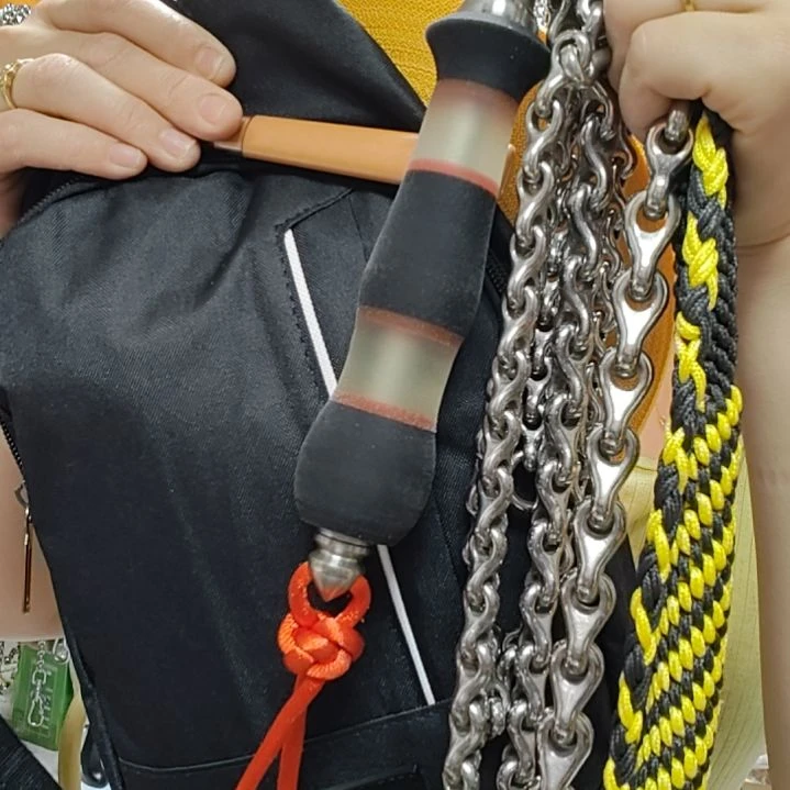 龙骨鞭1.6斤图片发货