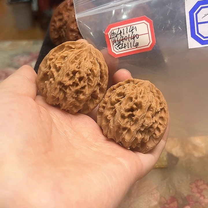 文玩核桃把件苹果园有虫眼