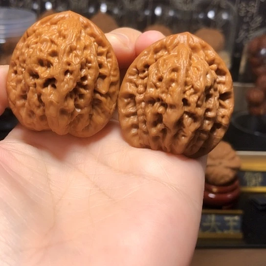 福利：原桩金公子