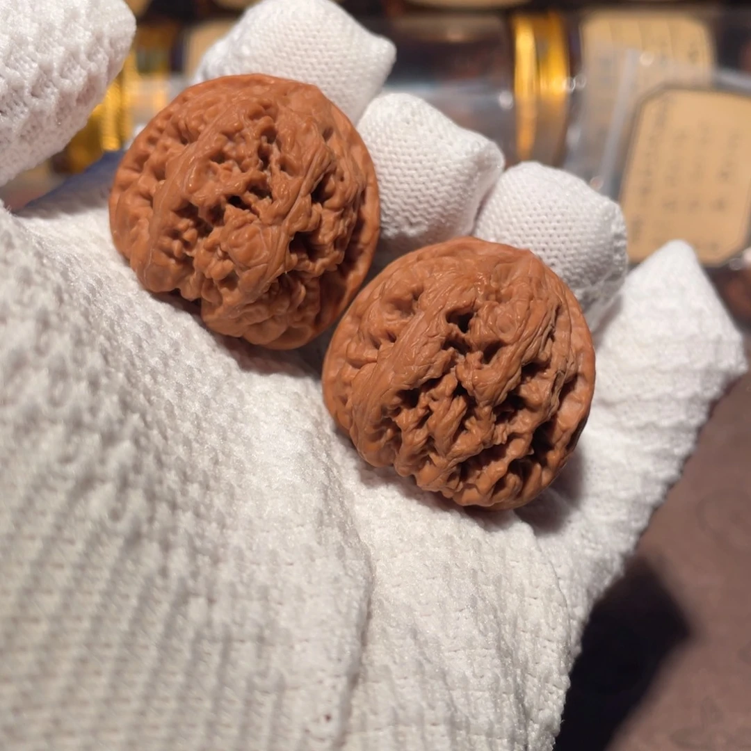 核桃35粗筋jjjjjj