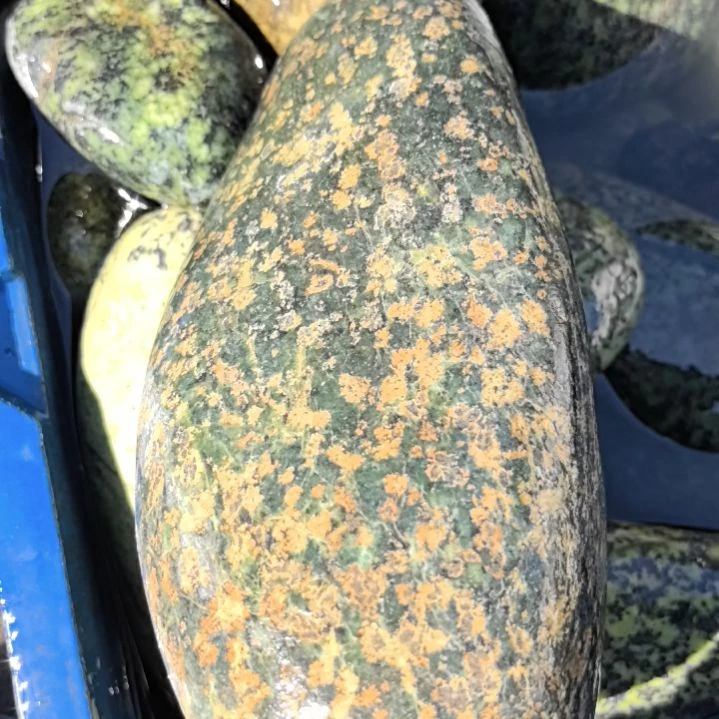 石材岁***w藏玉药王石原石摆件金花一块