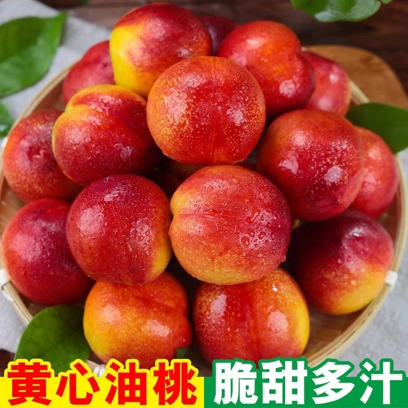 【带箱5斤】山西黄肉油桃新鲜当季桃子现在现发