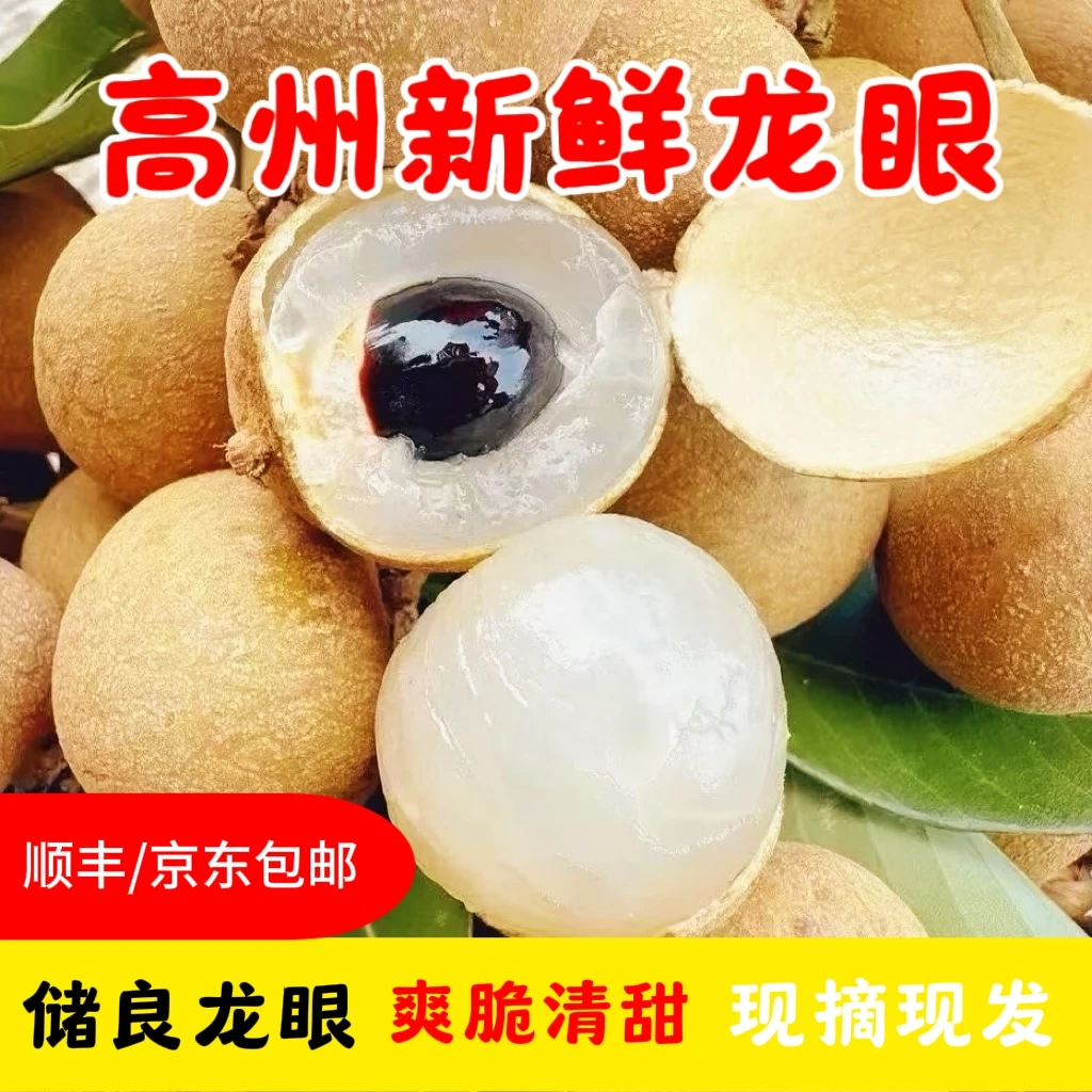 顺丰/京东陆运包邮广东茂名高州储良龙眼肉厚多汁新鲜采摘