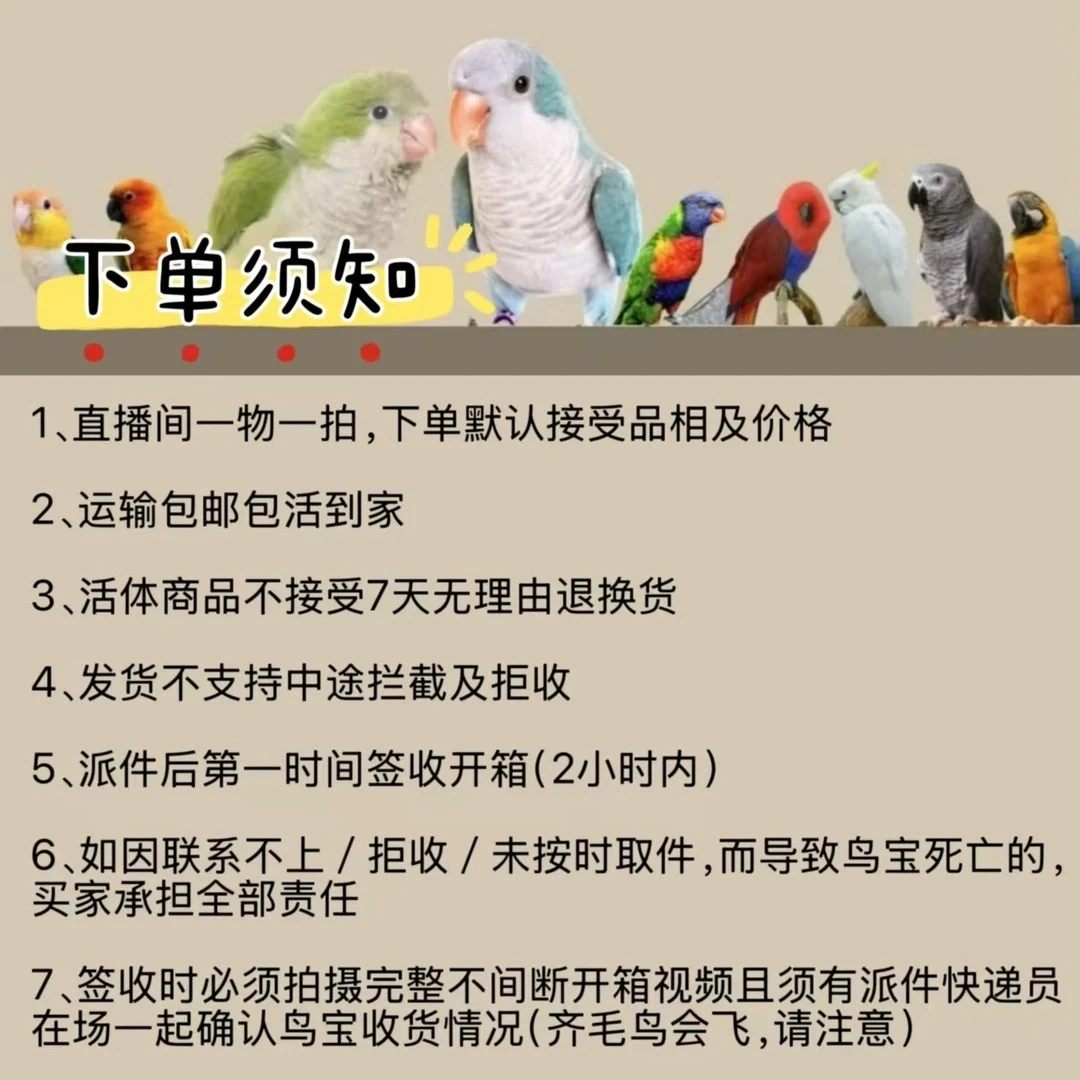 直播间一鸟一拍，可咨询客服下单