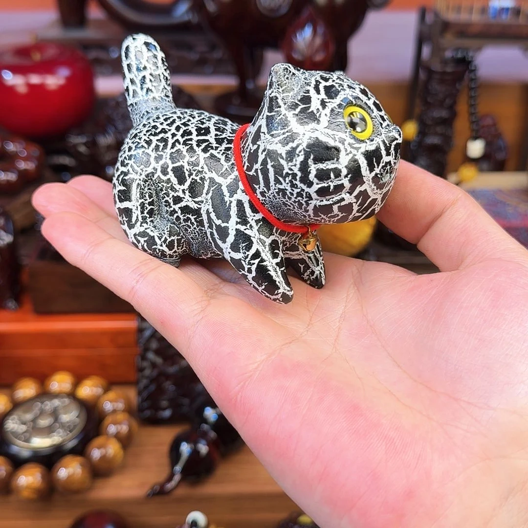 木猫咪猫咪好会说打