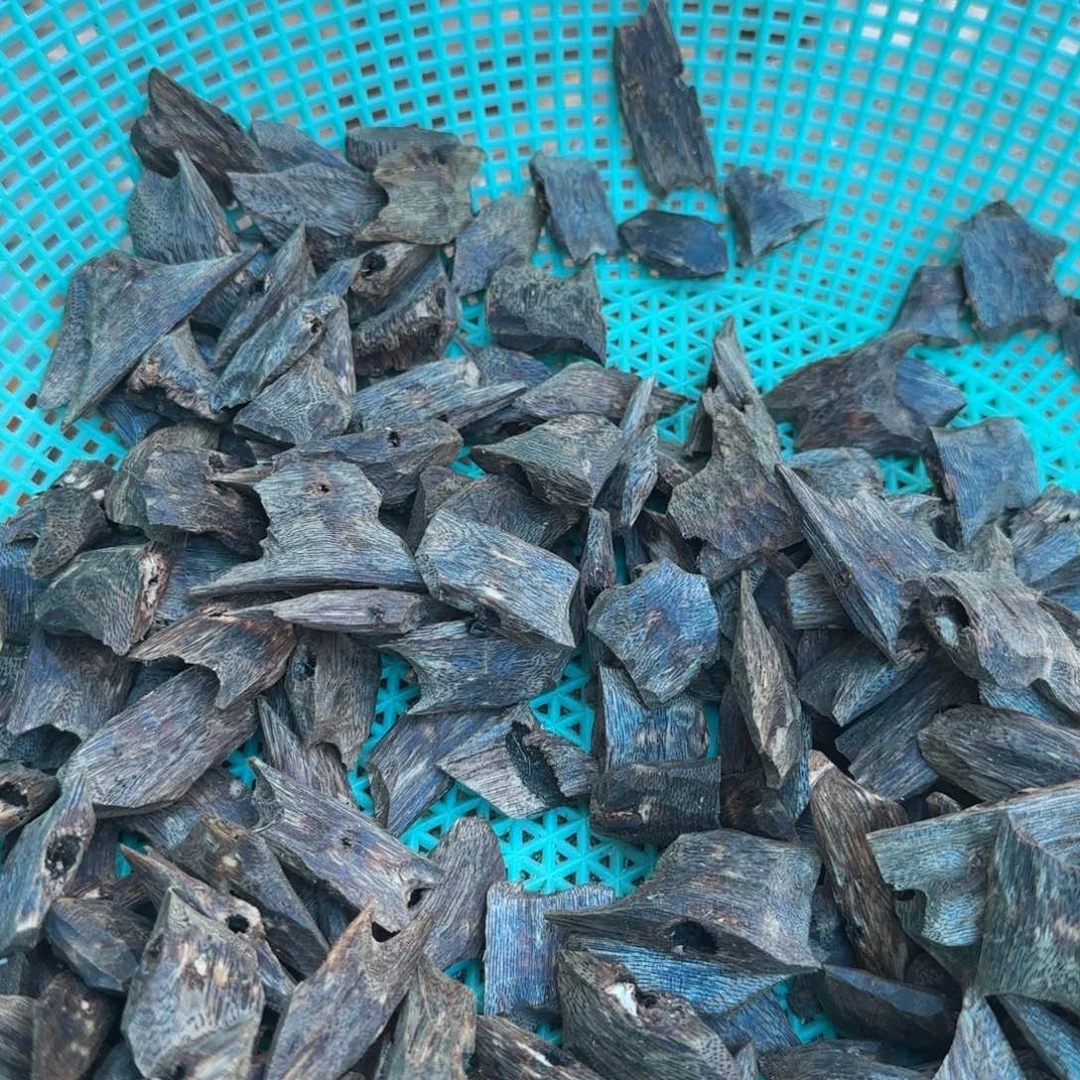 树脂制品奇楠熏香块料30克一份多样性发一份