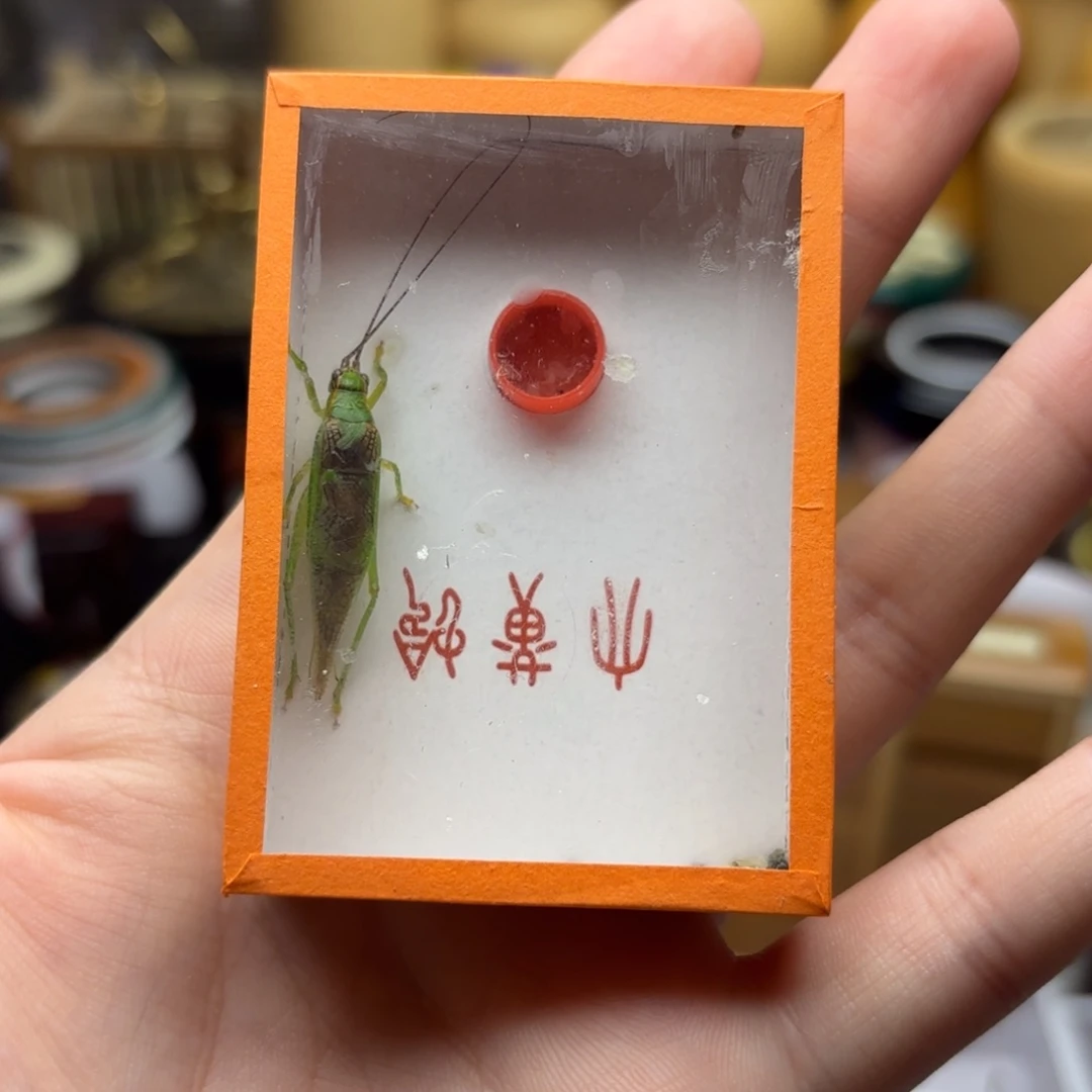 霍式一条包邮发货