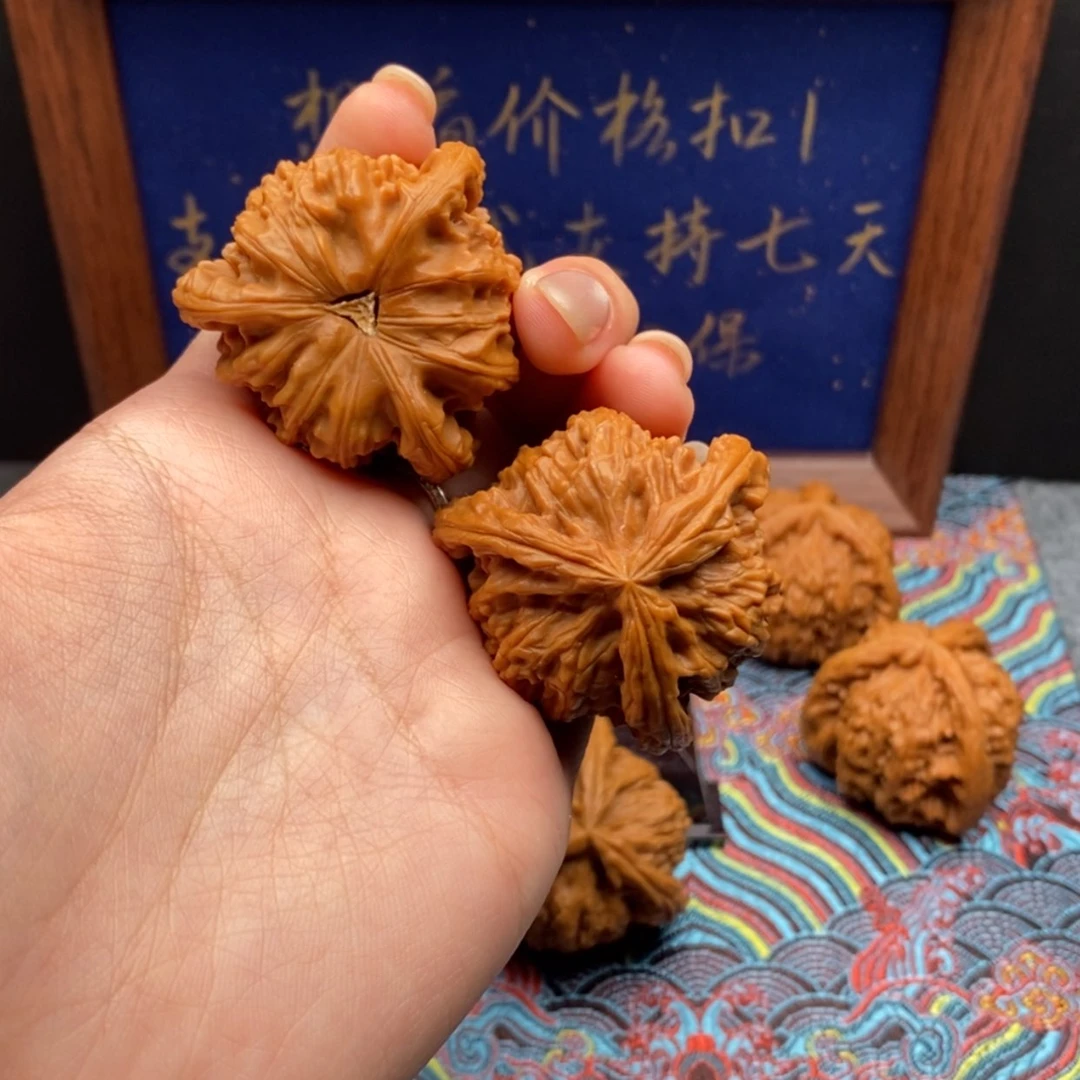 【闪购商品】山*。白狮
