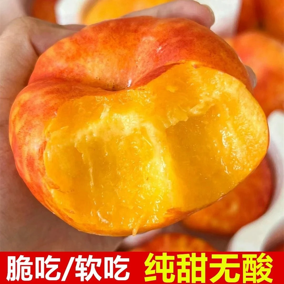 3【彩虹蟠桃】山东蒙阴彩虹蟠桃黄金蟠桃油桃新鲜水果时令应当季整箱桃子同城送山东省