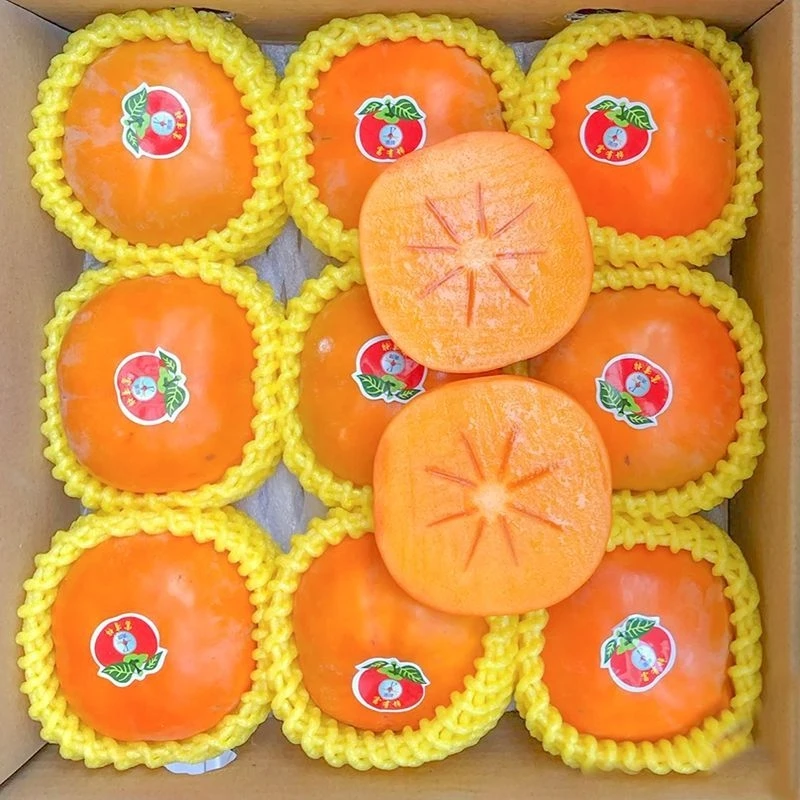 【淘天然】新鲜柿子巧克力脆柿子4.5斤 甜柿子硬柿子削皮即食脆甜