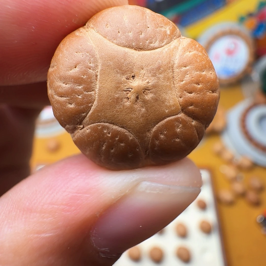 太***南21.4红皮五星，一物一图