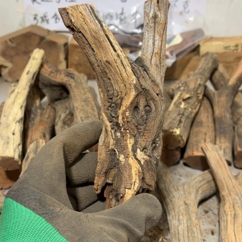 大果紫檀（缅甸花梨）尛*斗