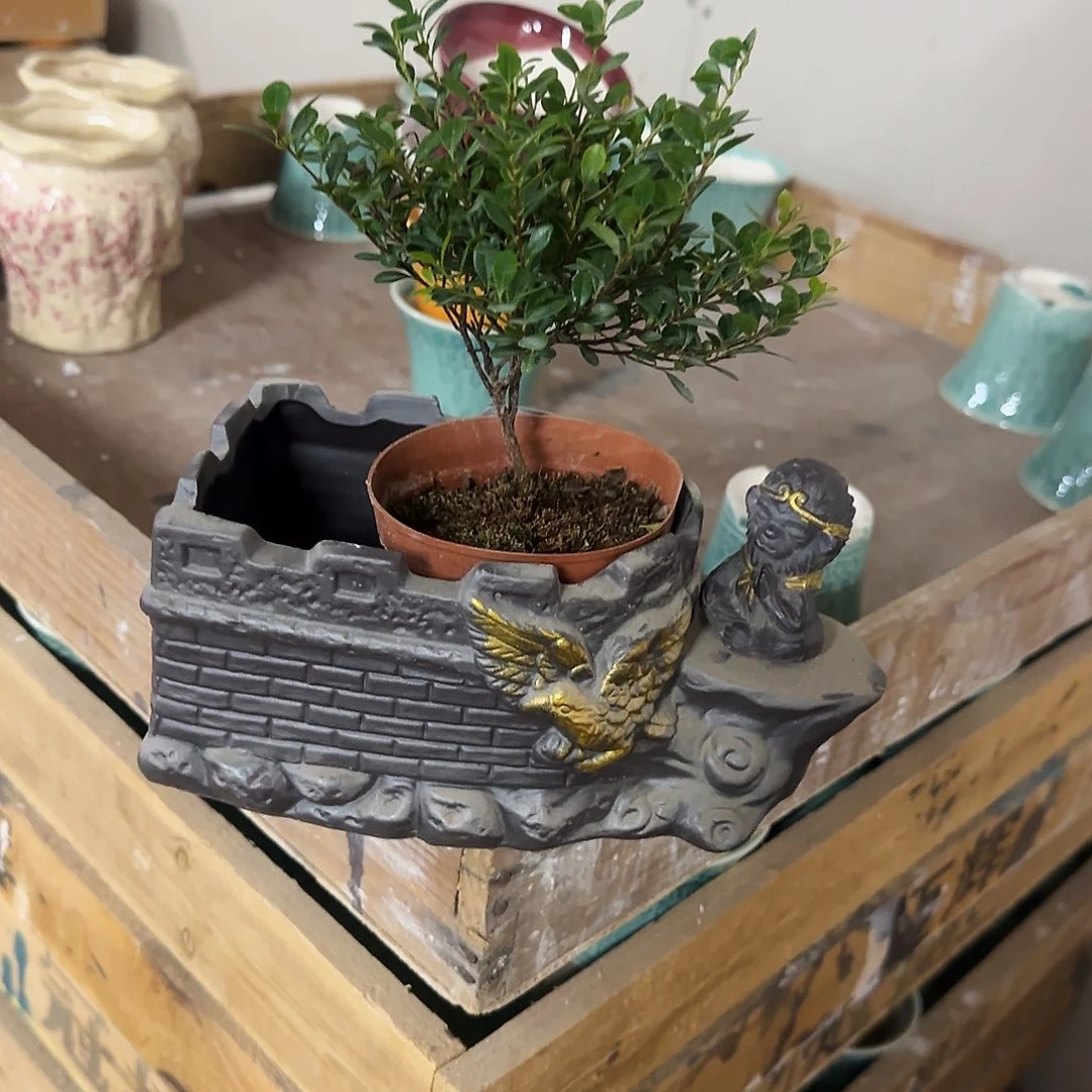 3件套福利局绿植多肉盆［凑9元包邮24小时发］