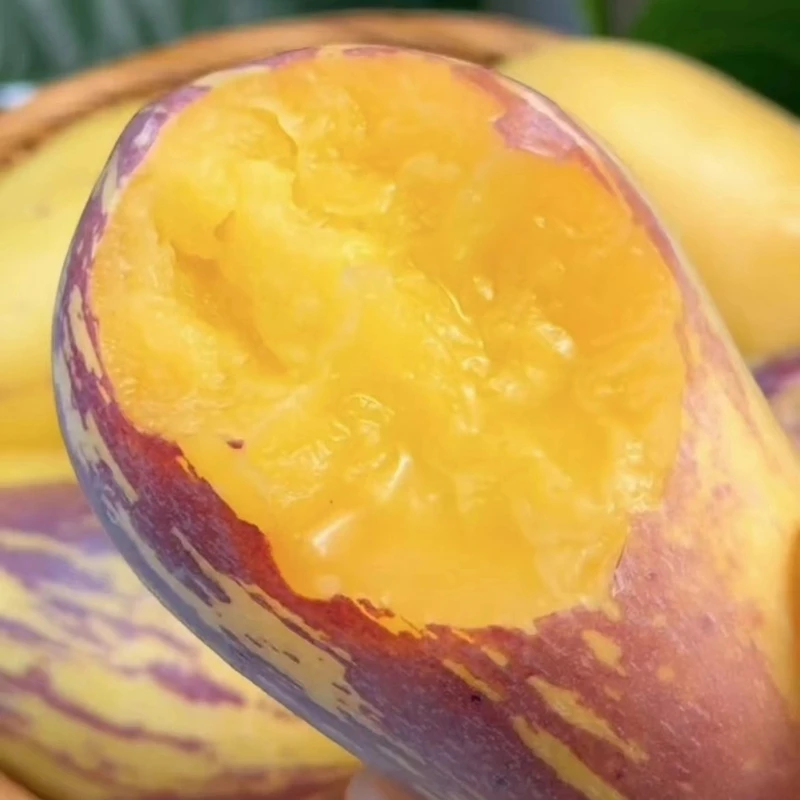 甘肃民勤沙漠人参果新鲜人参果低糖黄肉大果当季水果清甜皮薄熟果