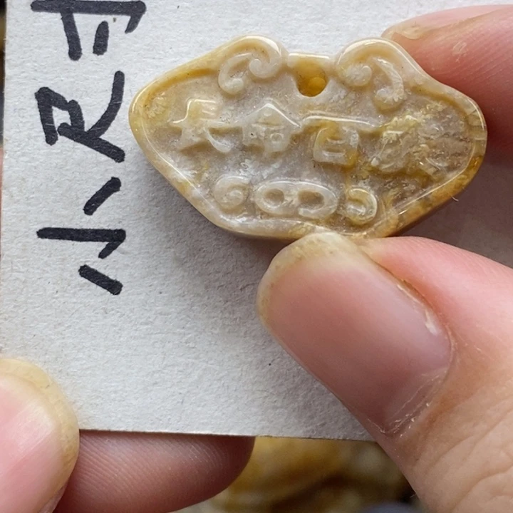 硅化珊瑚（珊瑚玉）未镶嵌颈饰