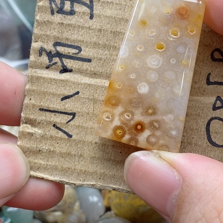 硅化珊瑚（珊瑚玉）未镶嵌颈饰醉**天