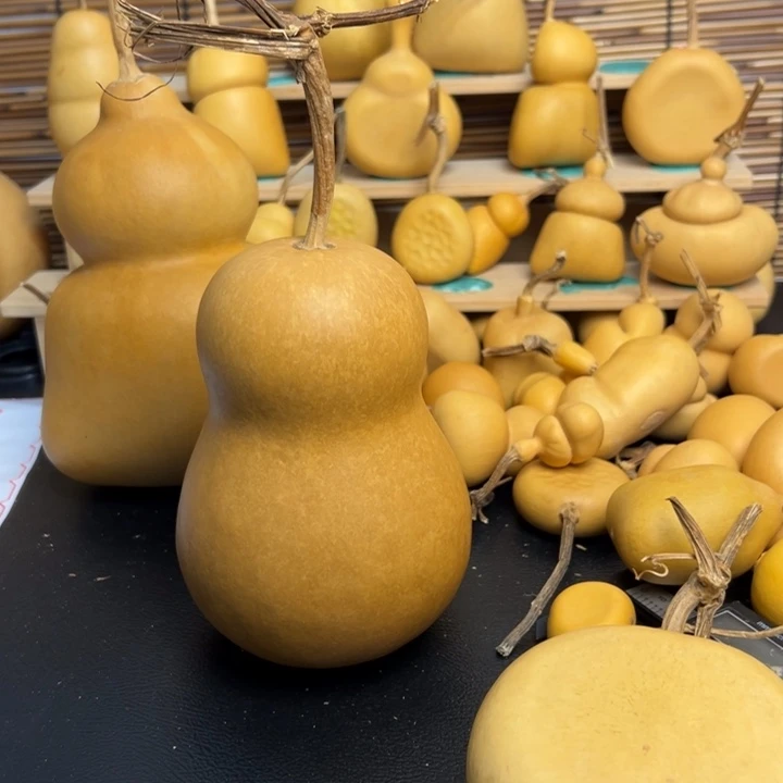 不****饭葫芦公园里面的那个地方就是