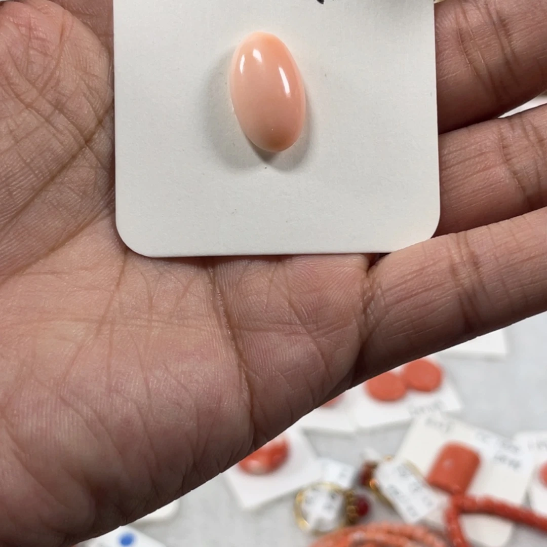 合金厚款开播福利