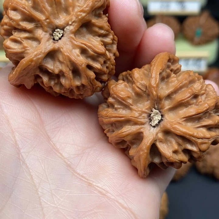 文玩核桃吊坠劉**~苹果园