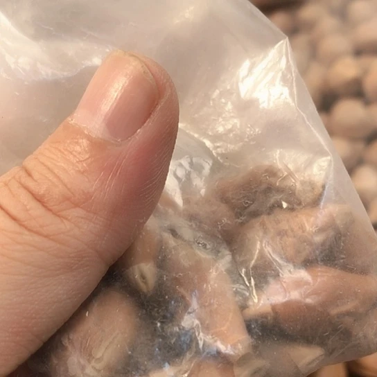 我们的确是一个人的