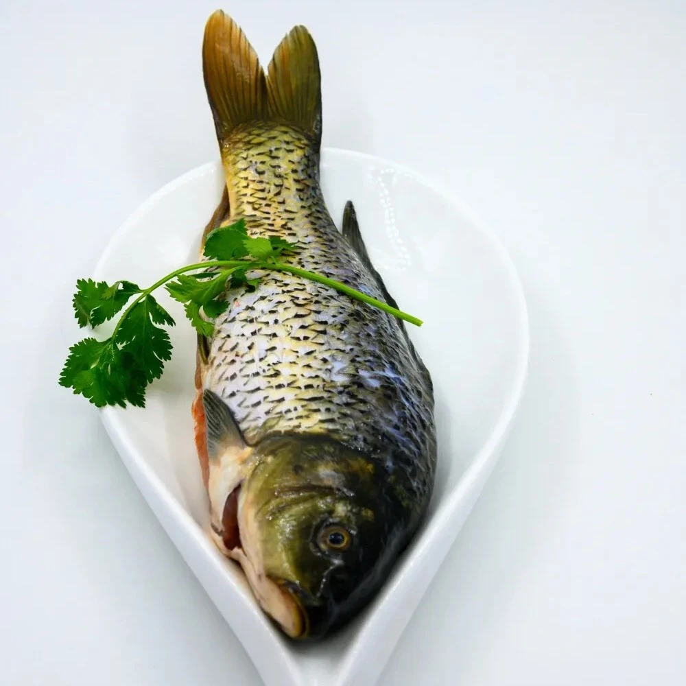 鲜活鲤鱼 毛重600克