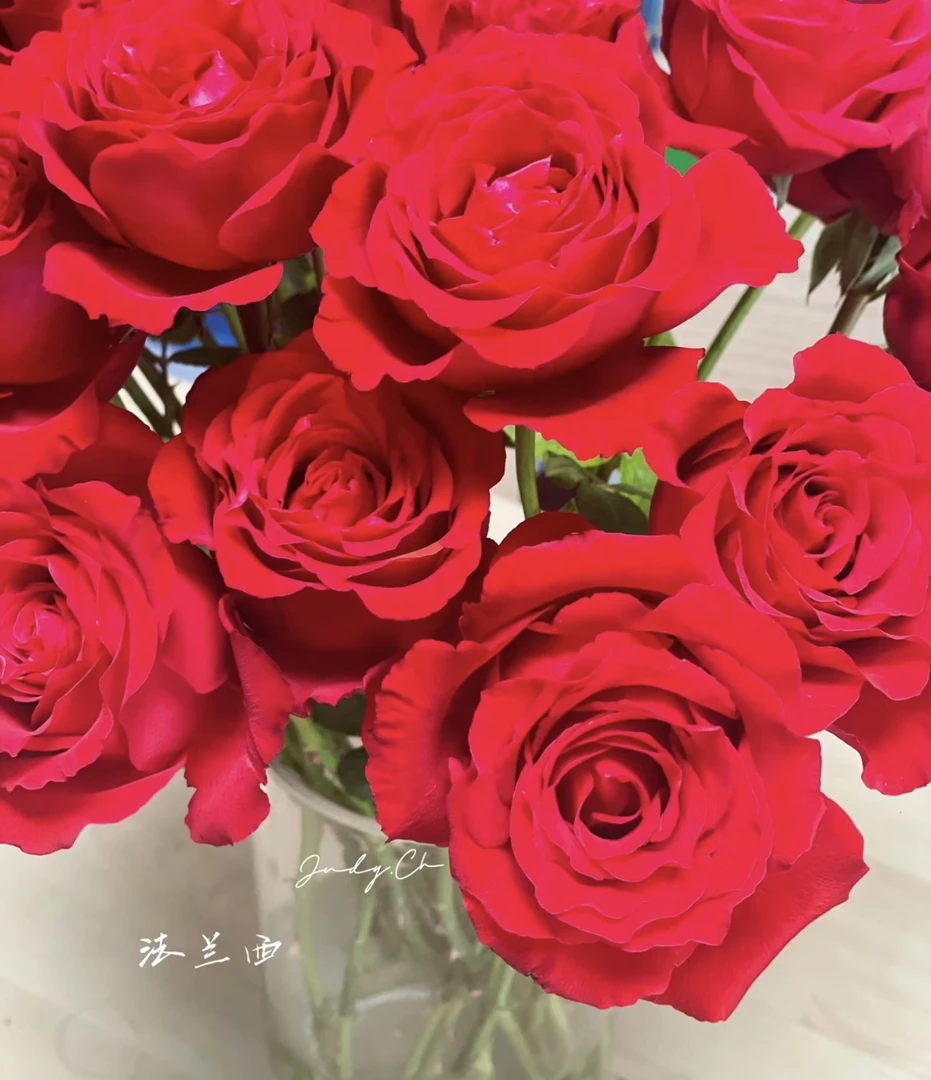 氧花季 法兰西红玫瑰18支+2支防损 收到先醒花 拍2单升级快递