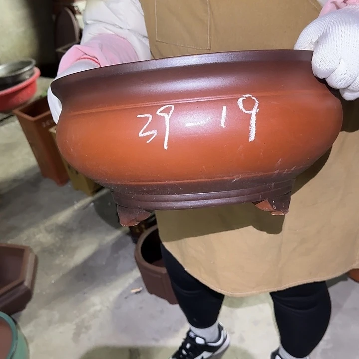 花盆紫砂你是什么