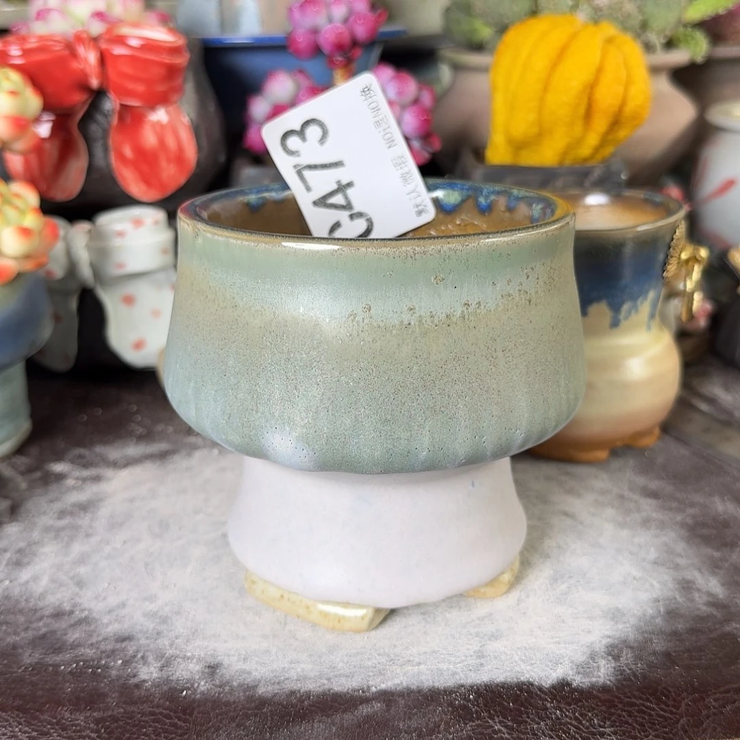 重庆小燕子欢迎大家473