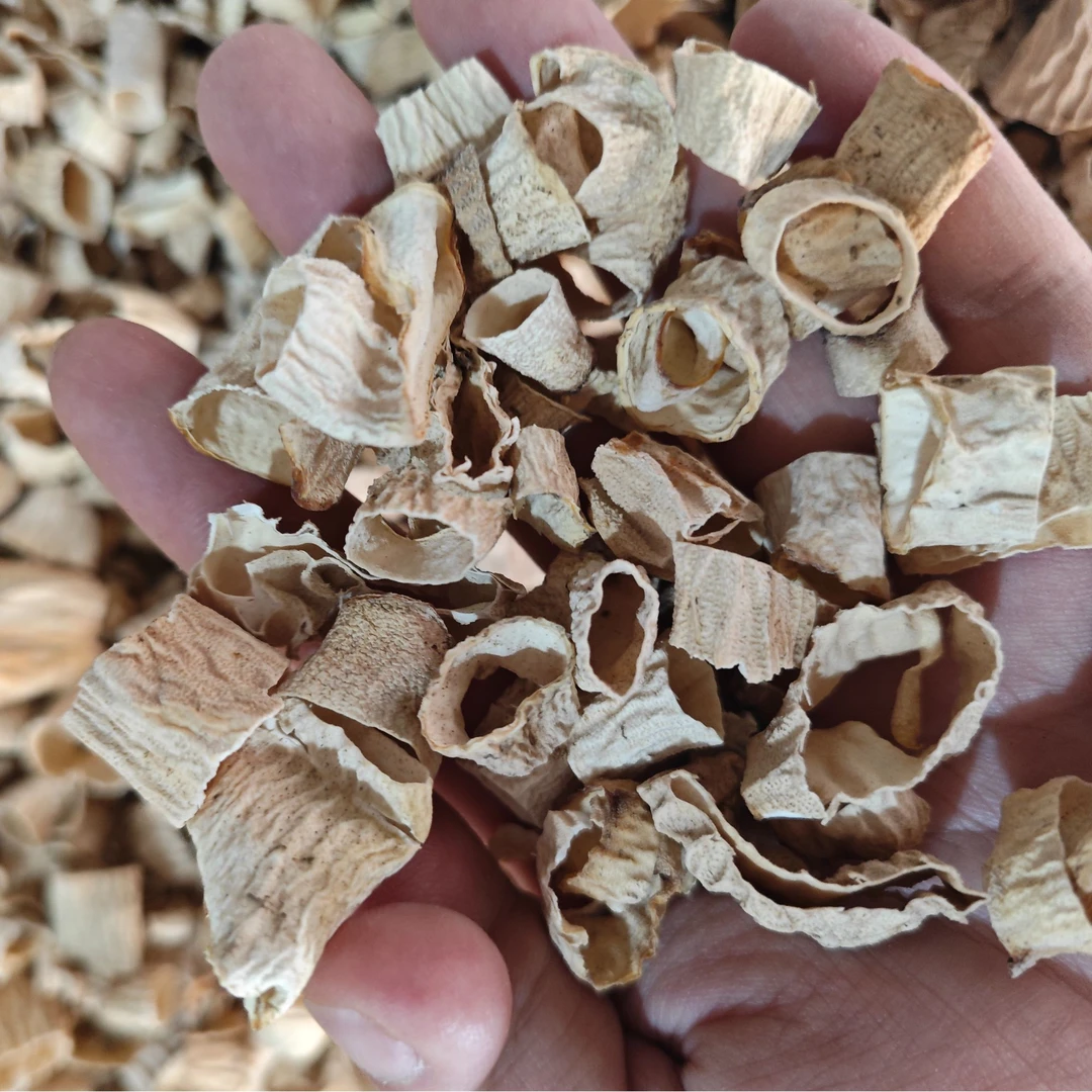 羊肚菌菌柄炒菜包饺子馅料肉饼